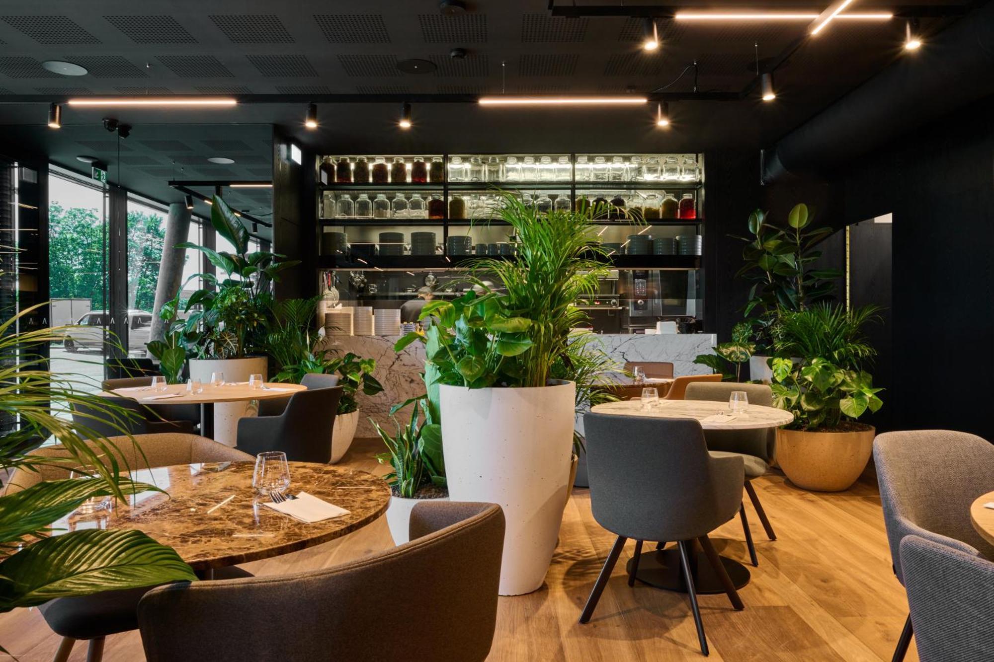 Aba Apartments 奥洛穆茨 外观 照片